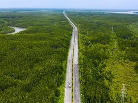 UBND TPHCM ban hành kế hoạch giải phóng mặt bằng tuyến đường sắt Bến Thành - Cần Giờ