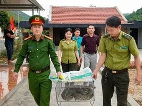 Thấy con trăn trong vườn nhà, người dân vội báo công an