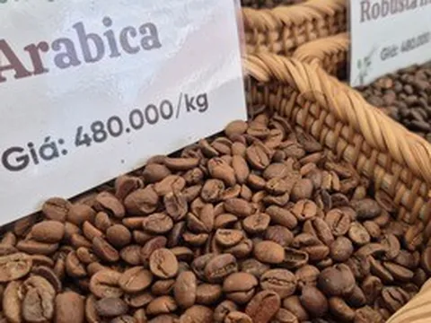 Giá cà phê hôm nay 25-3: Arabica tăng nóng, vượt 7.000 USD/tấn