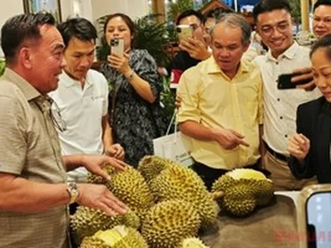 Công ty của bầu Đức tính trồng thêm 700 ha sầu riêng