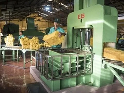 VRG quyết liệt triển khai Nghị quyết 79 về phát triển kinh tế nhà nước