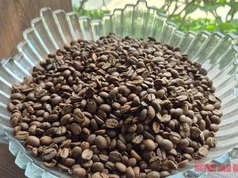 Giá cà phê hôm nay 8-4: Cả hai sàn đỏ lửa, Robusta xuống đáy 8 tháng