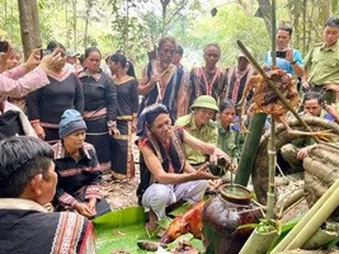 Độc đáo Lễ cúng rừng thu hút hàng ngàn người ở Gia Lai