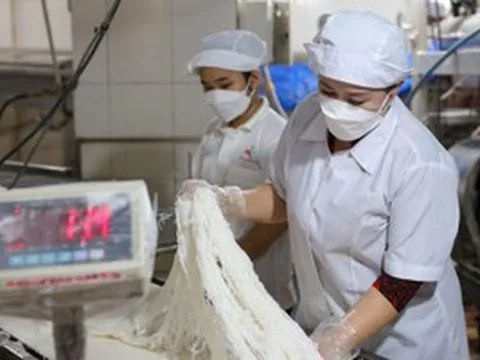 Bất ngờ gửi đơn “kêu cứu” đến Chủ tịch UBND TPHCM, bà chủ thương hiệu bún tươi nổi tiếng nói gì?