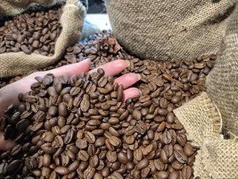 Giá cà phê hôm nay 14-4: Tăng trở lại, Mỹ tăng tốc nhập cà phê Việt