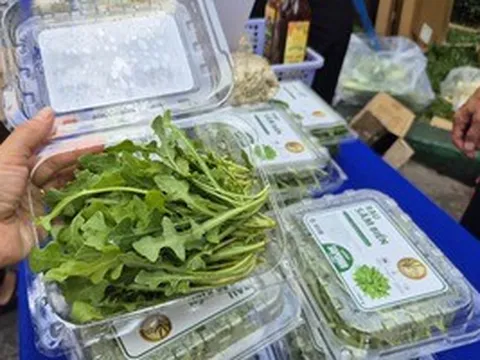Bất ngờ về loại rau 350.000 đồng/kg vẫn được người ở TPHCM xem là “rẻ”