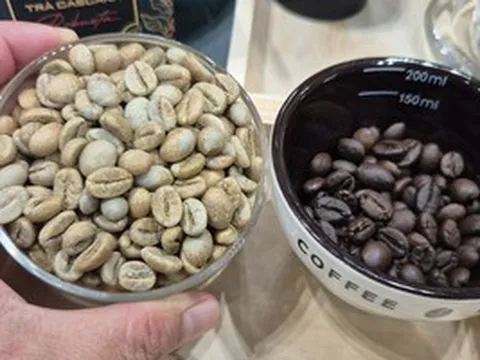 Giá cà phê hôm nay 18-4: Giảm tiếp, bất chấp Brazil xuất khẩu thấp nhất 8 năm qua