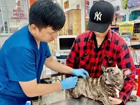 Cảnh báo bệnh dại và thói quen chết người