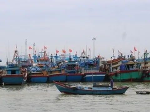 Gia Lai thuê giám sát hành trình để kiểm soát 186 tàu cá rủi ro cao