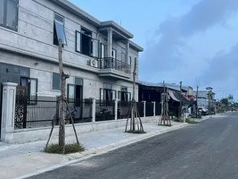 Hàng loạt cây xanh "chết đứng" ở khu đô thị mới vùng biển