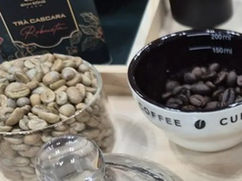 Giá cà phê hôm nay 4-5: Liệu Robusta có về lại mốc 4.000 USD/tấn?