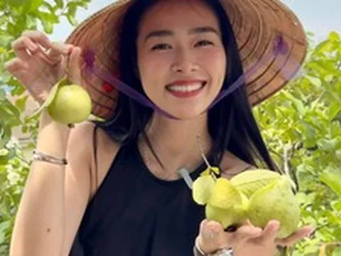 Mỹ nhân Việt làm chủ 3 công ty, sống trong nhà phố 100m2, sân thượng trồng gì mà lúc nào cũng trĩu quả?