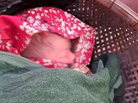 Bé sơ sinh còn nguyên dây rốn bị bỏ rơi lúc rạng sáng ở TPHCM