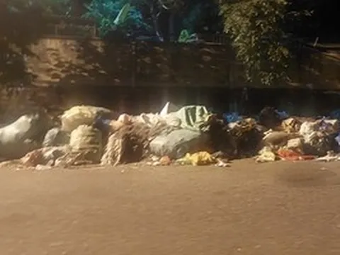 Đà Nẵng: Người dân vừa phản ánh ô nhiễm rác, phường lập tức chấn chỉnh công ty thu gom