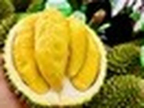 Sầu riêng 50.000 đồng/kg vẫn khó bán, loại nửa triệu đồng/kg lại ‘cháy hàng’