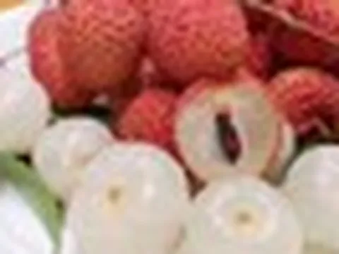 Sản lượng vải thiều dự kiến giảm khoảng 50% so với năm ngoái
