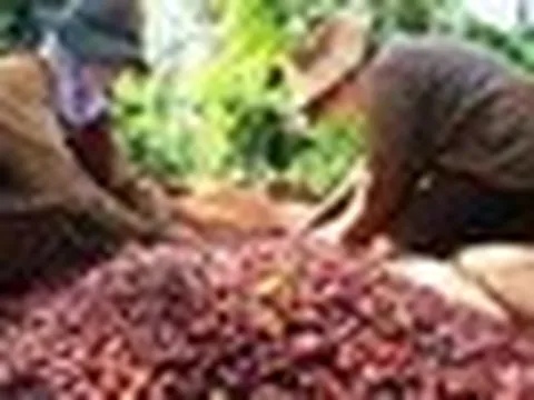 Giữa 'cơn bão' giảm giá, một mặt hàng của Việt Nam vẫn đón tin vui lớn từ EU