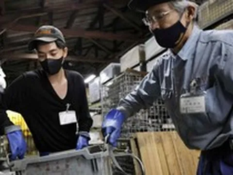 Nikkei: 11,5 triệu việc làm tại Việt Nam chịu tác động nghiêm trọng từ AI