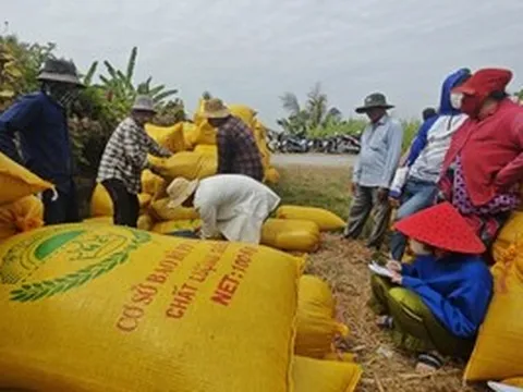 Nông dân không có tài khoản ngân hàng, doanh nghiệp phải “đẻ” thêm công ty trung gian