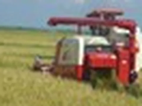 Cuba đón tin cực vui từ Việt Nam