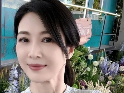 "Bạch nguyệt quang" của showbiz: U50 oằn mình trả nợ thay chồng