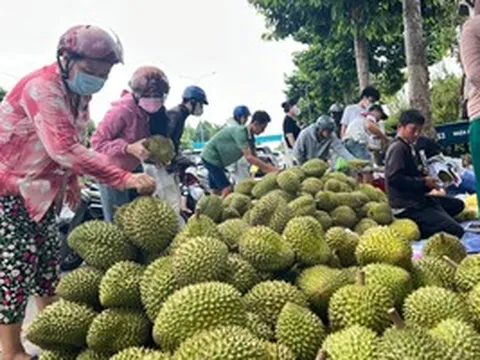 Sầu riêng lấy lại đà tăng giá
