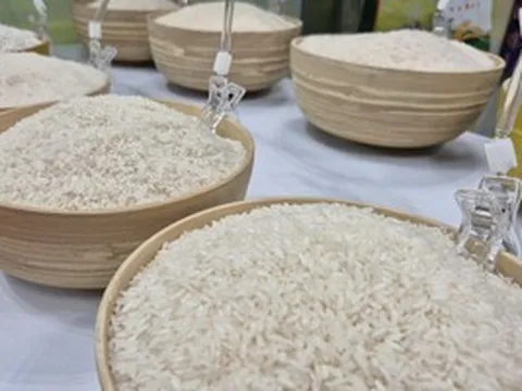 Ngành điều, gạo, rau quả trước quy định nhập khẩu mới của Trung Quốc