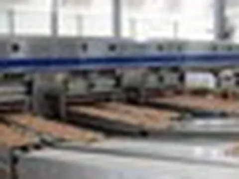 “Cỗ máy” sản xuất 1 triệu quả trứng/ngày của tỷ phú Trần Đình Long: Nuôi 1,2 triệu con gà, vận hành bằng robot châu Âu