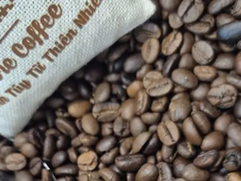 Giá cà phê hôm nay 23-5: Robusta tăng tiếp