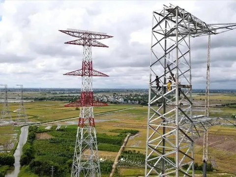VNECO bác tin tham gia dự án 500kV mạch 3, lên tiếng việc hủy niêm yết bắt buộc