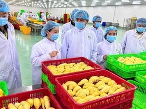 Nông sản Việt thích ứng quy định từ Trung Quốc