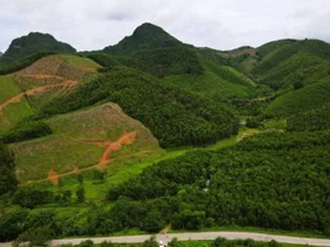 Dừng việc đưa 13 ha đất đầu nguồn nước vào đấu giá mỏ đất ở Thanh Hóa