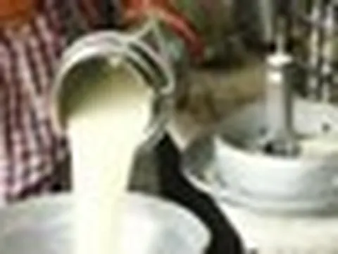 Đột kích một căn nhà, công an triệt phá đường dây sản xuất sữa giả từ hóa chất, tịch thu bột mì, sorbitol và máy pha trộn công nghiệp