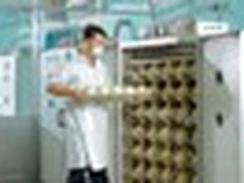Trung tâm làm ra quả trứng nặng 1,5kg giá nửa triệu của một đại gia Việt: Chi phối 60% thị phần, công nhân phải canh hứng từng quả trứng
