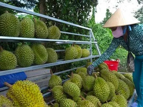 Muốn đi xa phải đi bài bản