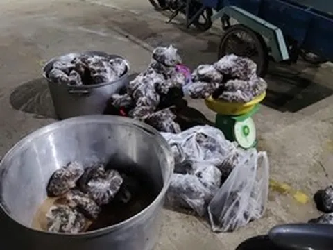 Mật phục kiểm tra người đàn ông chở hàng có biểu hiện nghi vấn