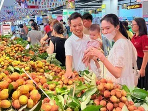 Một siêu thị "chốt đơn" vải thiều Bắc Ninh, muốn tăng gấp đôi sản lượng tiêu thụ