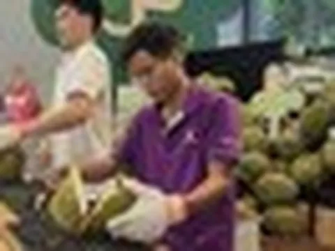 Đi ăn buffet sầu riêng, gặp thợ gõ - khui sầu riêng lương 60 triệu đồng/tháng