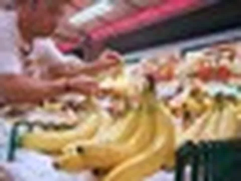 Một mặt hàng ê hề ở Việt Nam nhưng lại đang khan hiếm ở Nhật Bản, khủng hoảng thiếu hụt nghiêm trọng nhất trong 50 năm qua