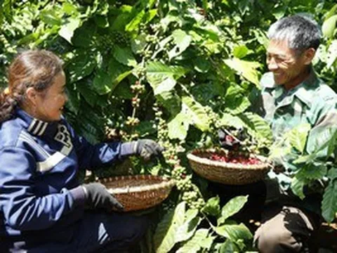 Nestlé Việt Nam: Từ nhà đầu tư dài hạn đến đối tác đồng hành cùng mục tiêu phát triển quốc gia