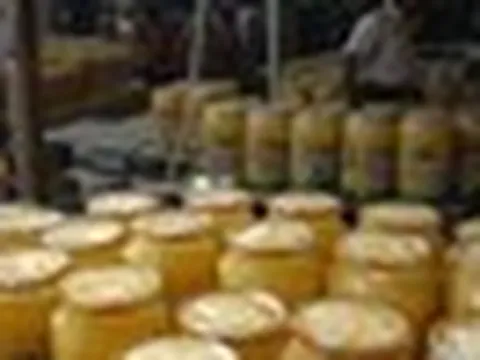 Đột kích lúc nửa đêm, công an triệt phá đường dây sản xuất bơ và dầu ăn giả, tịch thu hơn 14 tấn sản phẩm pha trộn