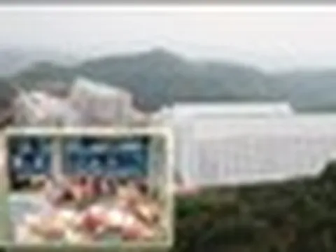Hà Nội phản hồi đề xuất xây “chung cư” để nuôi lợn