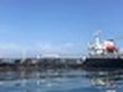 Né eo biển Hormuz, láng giềng Việt Nam gấp rút tìm 'cứu tinh' dầu thô ở châu Phi