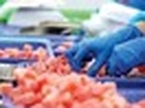 Quốc gia châu Phi báo tin vui cho Việt Nam: Nhập khẩu 1 loại 'siêu thực phẩm' tăng mạnh