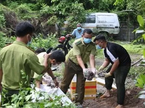 Tây Ninh tiêu hủy 127 kg thằn lằn núi Bà Đen vận chuyển trái phép