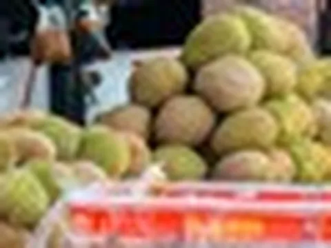 Buồn của đối thủ sầu riêng Việt Nam, Thái Lan: Nắm giữ loại sầu ngon nhất thế giới nhưng giá giảm 70%, nguyên nhân đến từ đâu?