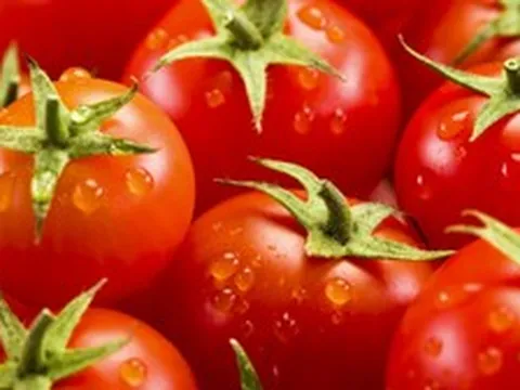 Phát minh của Trung Quốc gây sốc ngành thực phẩm: Tạo ra giống cà chua biến đổi gen có mùi của bỏng ngô, không làm ảnh hưởng đến năng suất