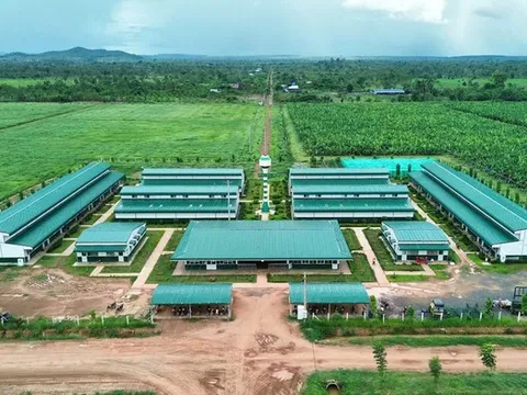 Thaco Agri của tỷ phú Trần Bá Dương được định giá gần 21.000 tỷ đồng