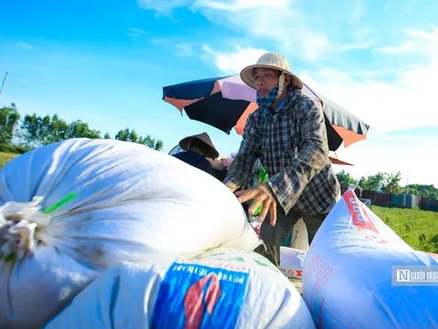 Từ 1/10, nhiều loại gạo được xuất khẩu mà không cần giấy chứng nhận đủ điều kiện kinh doanh