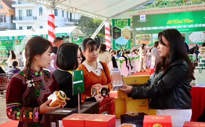 Khai mạc Ngày hội sản phẩm vùng đồng bào dân tộc thiểu số và miền núi phía Bắc